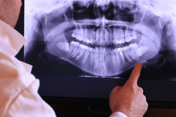 Best Emergency X-Rays and Diagnostics in Gray, TN
